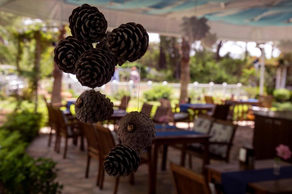 Blue & White Hotel Çıralı Extérieur photo